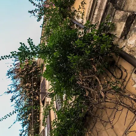 My Flat In Fontana Di Trevi Rome